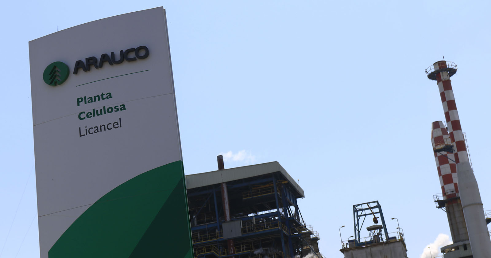 Arauco Odd Industries