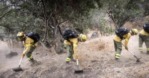 Brigada Central de CMPC realizó cortafuegos en el Cerro del Medio en Lo Barnechea para evitar incendios rurales