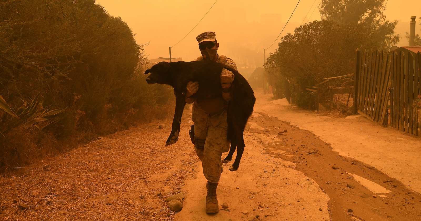 incendio forestal Quilpué Conaf