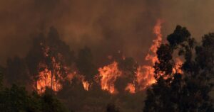 Incendio en Quilpué: levantan toque de queda en provincia de Marga Marga