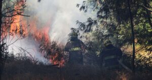 Onemi ordenó evacuar poblado de San Fernando por incendio forestal