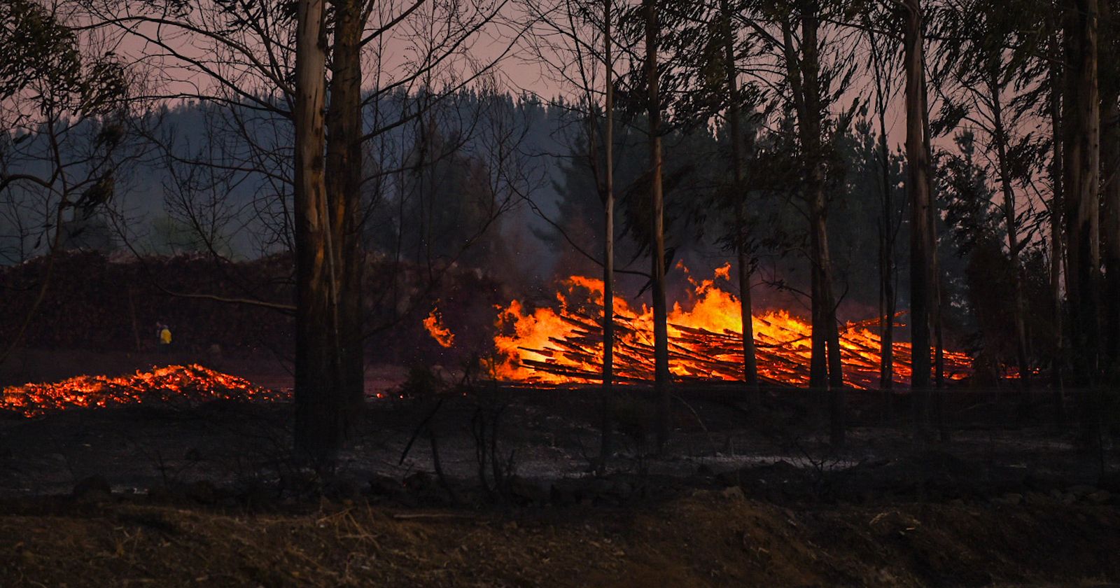 temporada incendios forestales