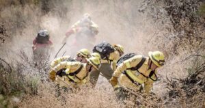 Equipo de Brigada Central de CMPC se traslada a Quilpué para sumarse al combate del incendio