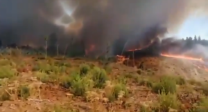 Biobío: Onemi ordena evacuación tras incendio forestal en Nacimiento