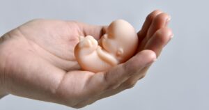 Permite interrumpir embarazo hasta la semana 14: entró en vigencia la nueva ley de aborto en Argentina