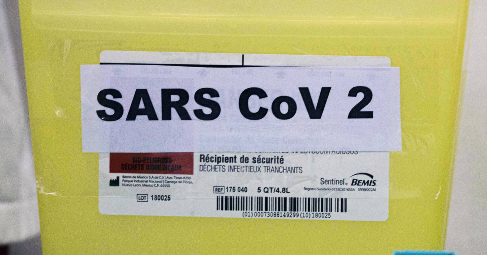 oms variante británica