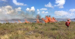 Consejo de Monumentos Nacionales denunciará a la Fiscalía a responsables de incendios en Rapa Nui