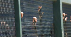 Covid: Gendarmería ordena cuarentena total en cárcel de Los Andes