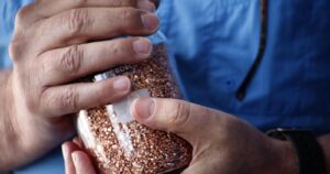 Director del Área Minería de Inacap: “Existe una gran oportunidad para el desarrollo del cobre y todavía no terminan de conocerse todas sus aplicaciones”