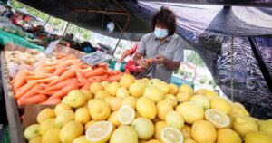 Sistema frontal: Ministerio de Agricultura descarta 