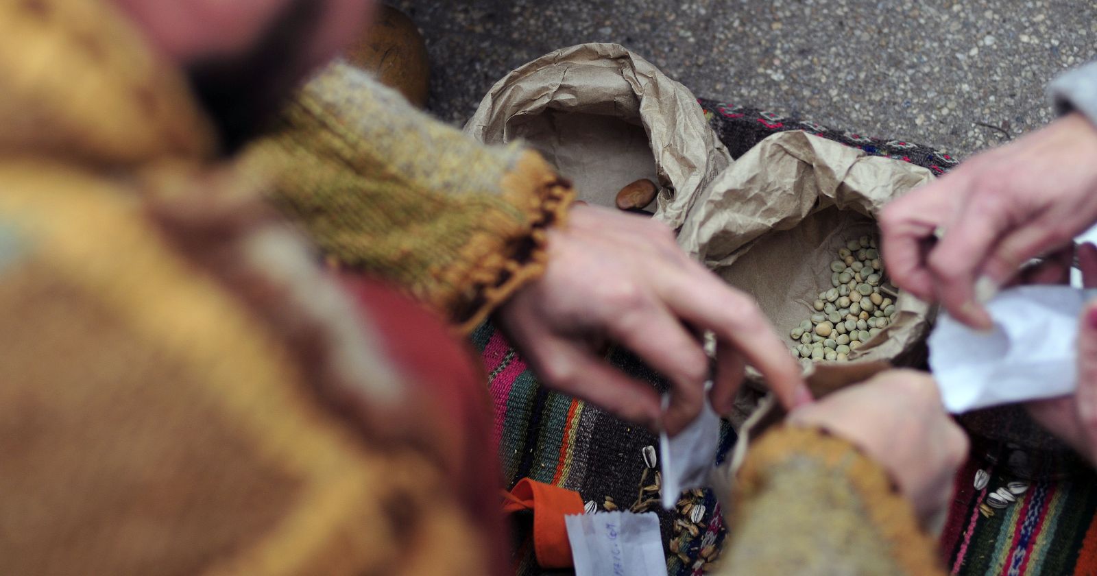 Alejandro Jara TPP 11