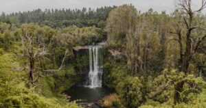 Chancagua Taiñ Folil: la nueva ruta turística de la Región de La Araucanía