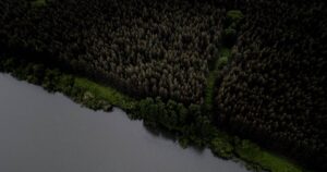 CMPC ingresa por primera vez al Sustainability Yearbook 2021