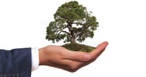 Santander anuncia ambición de alcanzar cero emisiones netas de carbono en 2050