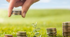 Sustentabilidad y ganancias: el propósito de las empresas que crea valor a largo plazo