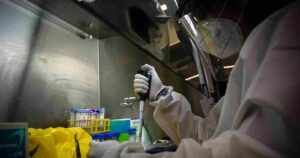 Rusia identifica el primer caso de gripe aviar H5N8 en un ser humano