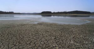 Día Mundial del Agua: la importancia de una correcta gestión de los recursos hídricos
