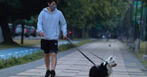 Variante británica de coronavirus afecta a gatos y perros y provoca síntomas cardíacos