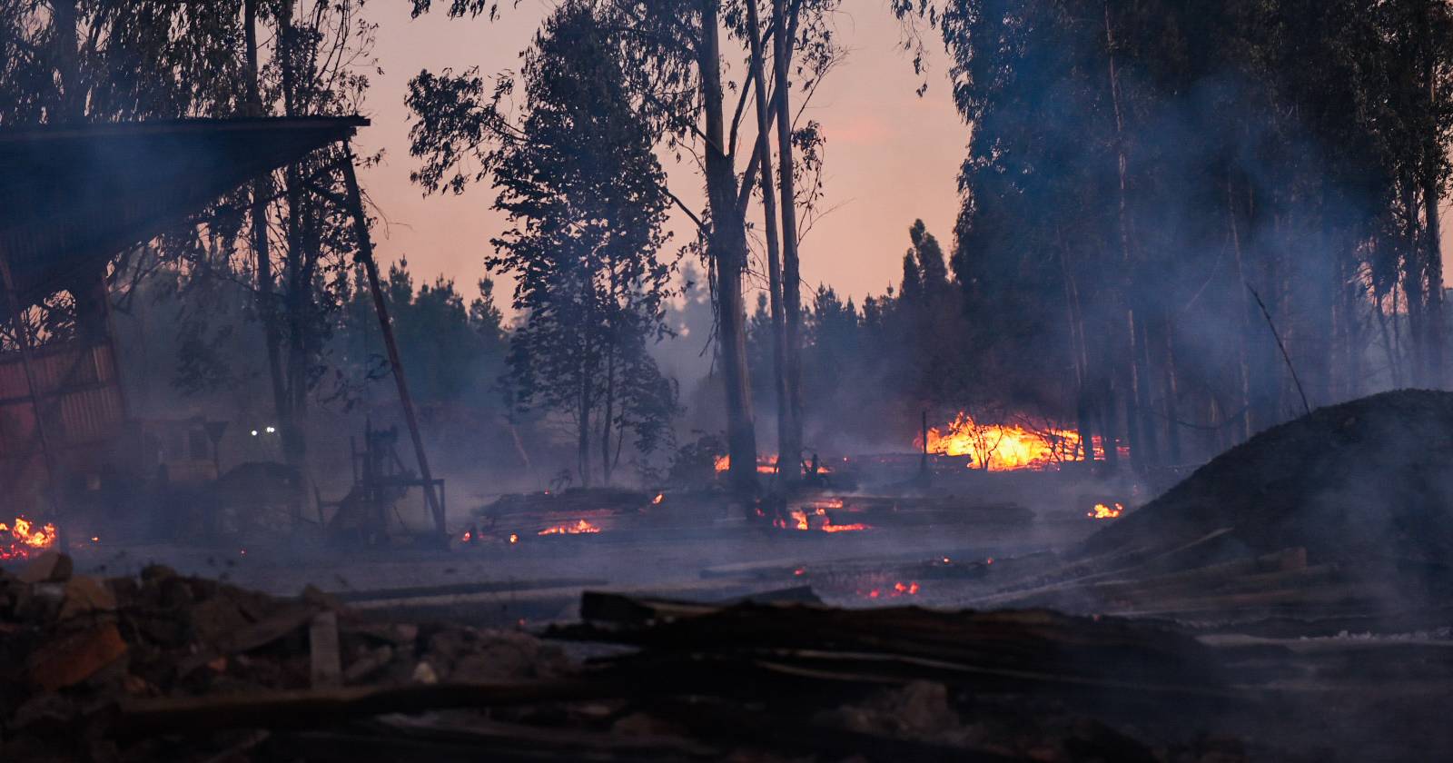diego paulsen hermano ataque incendiario