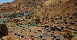 Dónde y con qué intensidad aumentaron los campamentos durante la pandemia