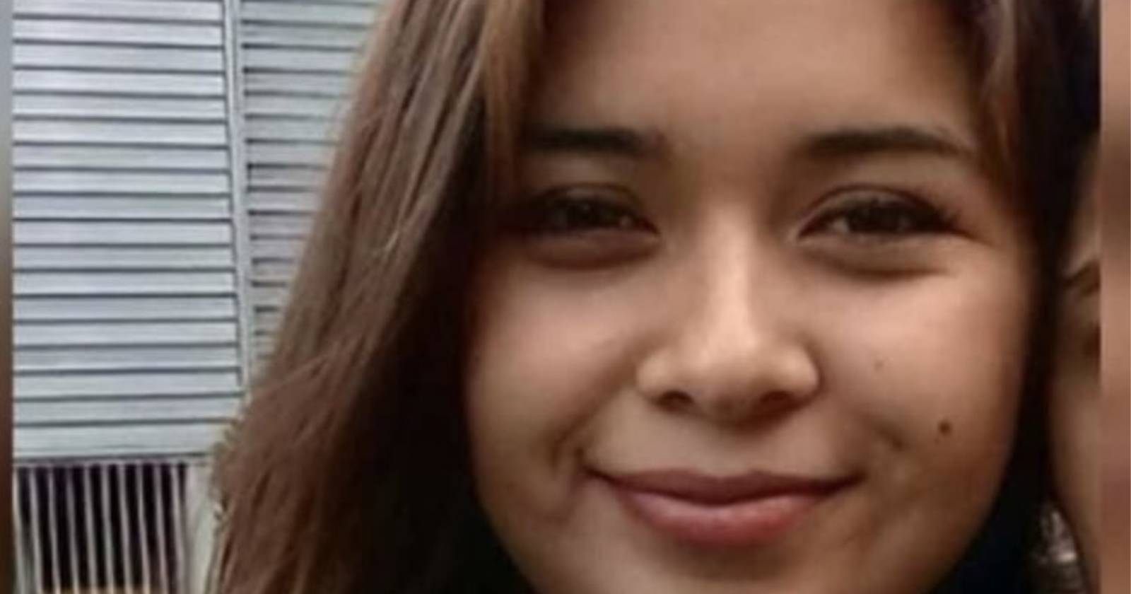 Damaris Meliñir embarazada