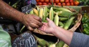 Ferias Libres: solo un 5% está disponible para realizar venta a domicilio