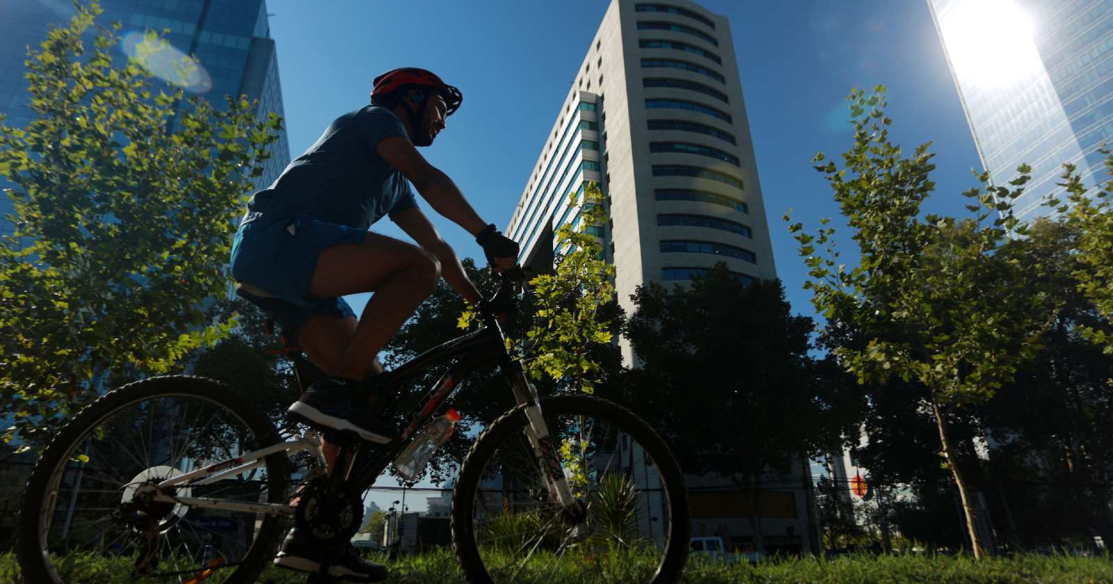 región metropolitana transición