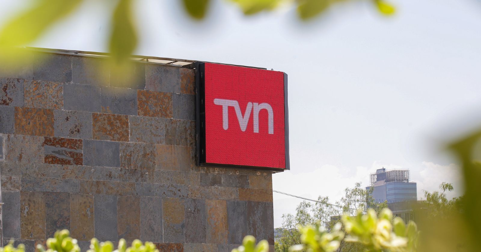 tvn querella