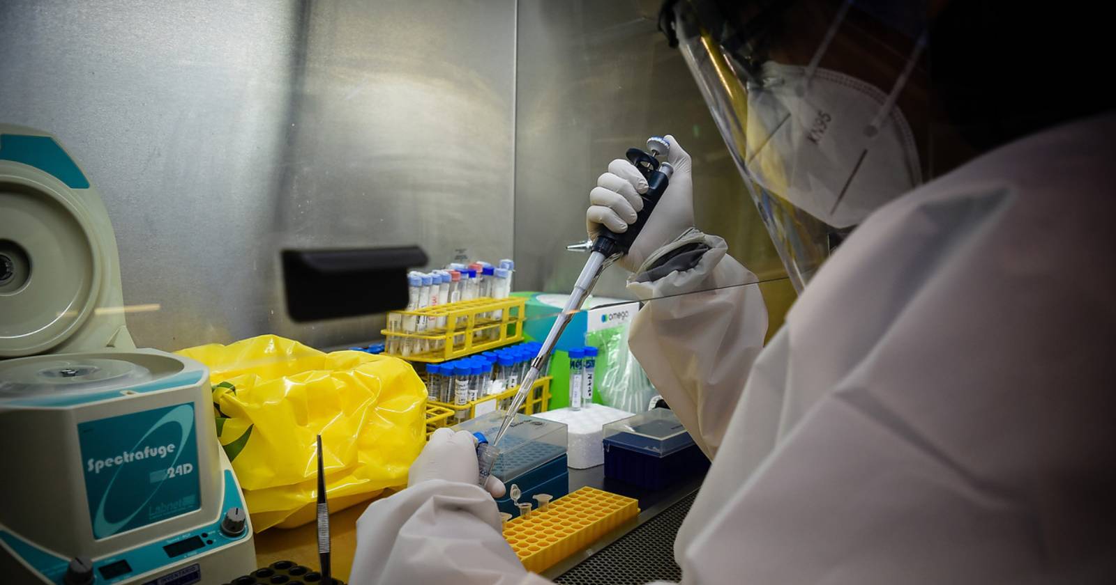 nueva variante Brasil