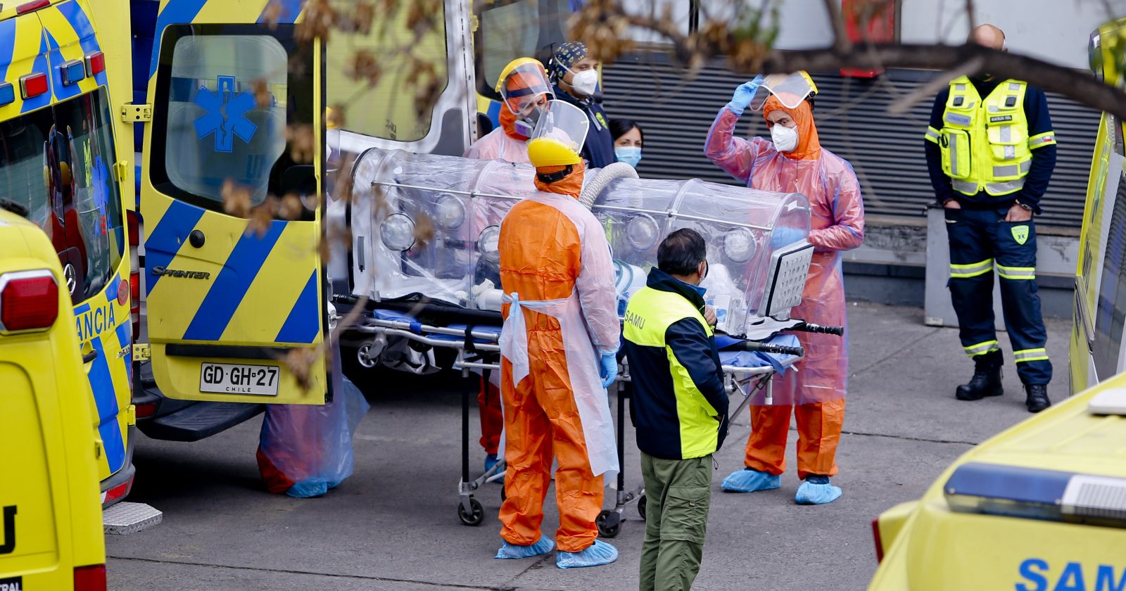 reporte casos fallecidos