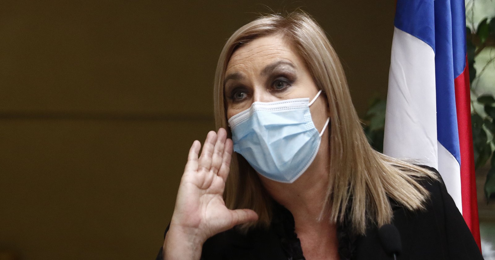 candidatura Pamela Jiles PH