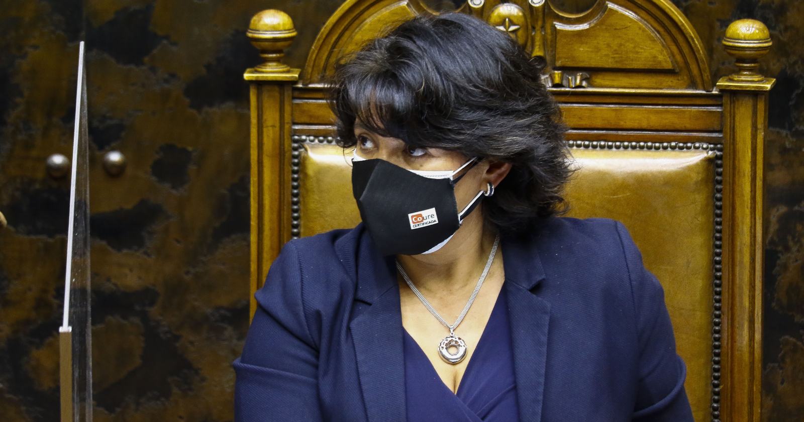 Yasna Provoste aplazamiento elecciones