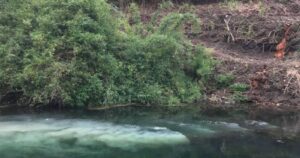 Essal Los Lagos arriesga hasta $6.800 millones por formulación de cargos de la SMA
