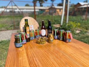 Emprendedores de Tiltil se unen para dar a conocer productos y servicios con sello local