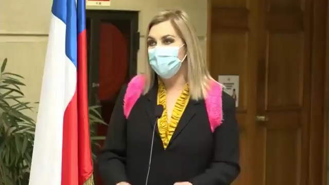 Pamela Jiles Schalper