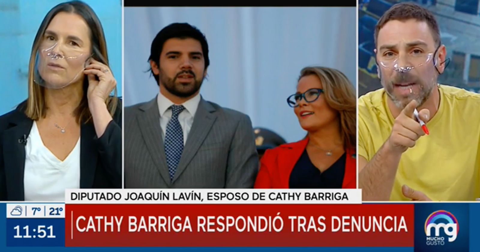 neme lavín mucho gusto