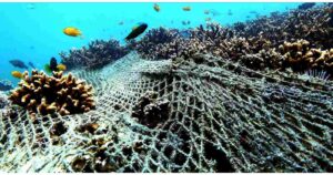 Seaspiracy: el documental de Netflix que está dando que hablar