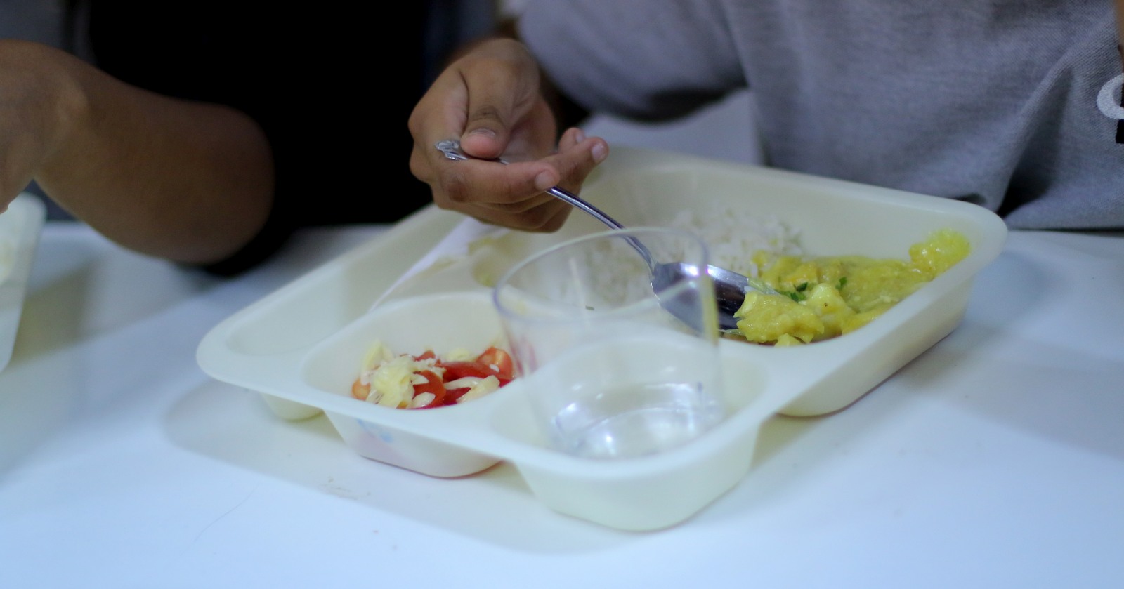alimentación vegana Junaeb