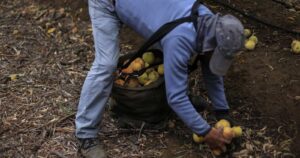 Cámara de Diputados pide condonar deudas de adultos mayores con Indap