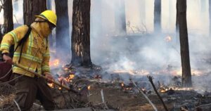 Alerta Roja para Valparaíso por incendio forestal en Reserva Lago Peñuelas