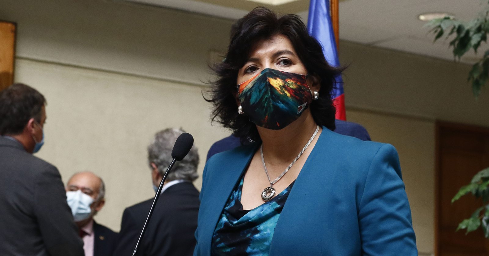 Provoste mínimos comunes Gobierno