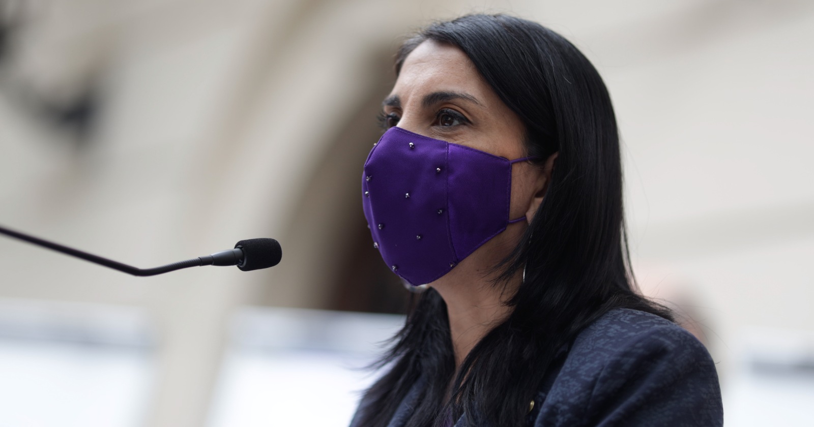 Karla Rubilar elecciones