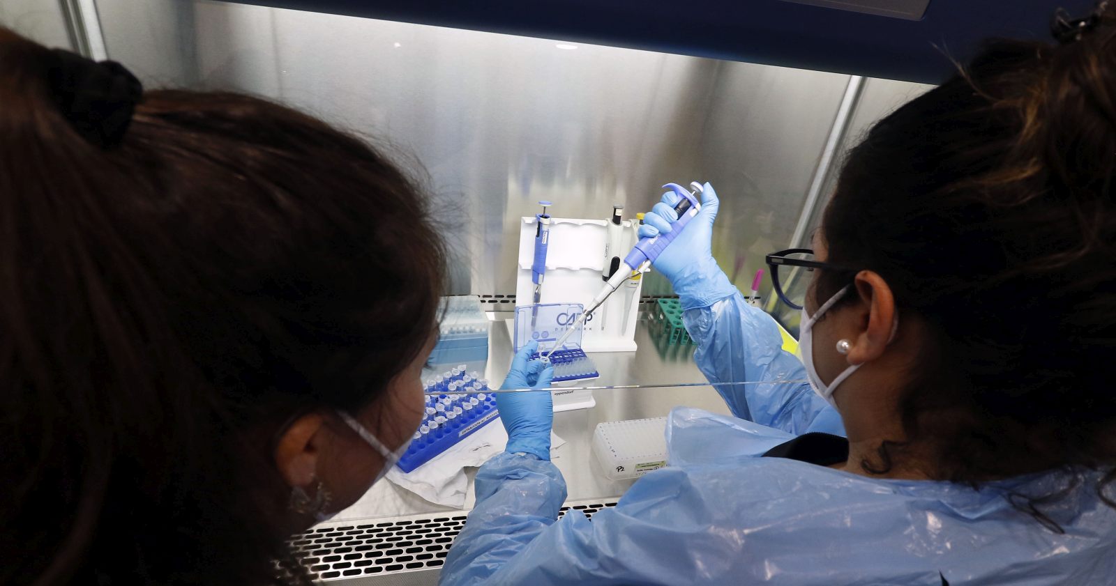 variante brasileña Aysén