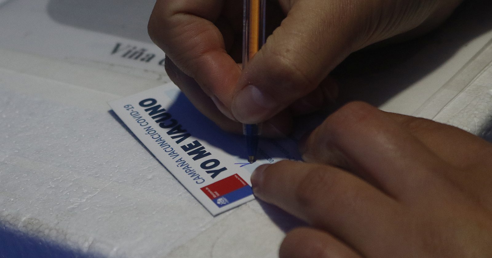 Pase de Movilidad carnet verde
