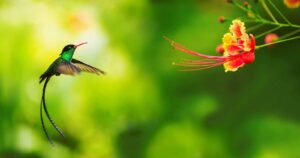 Programa online y gratuito “Mide lo que importa” invita a pymes a calcular su impacto socio ambiental