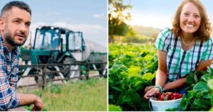 NND ya tiene a sus tres finalistas para el área de agroindustria