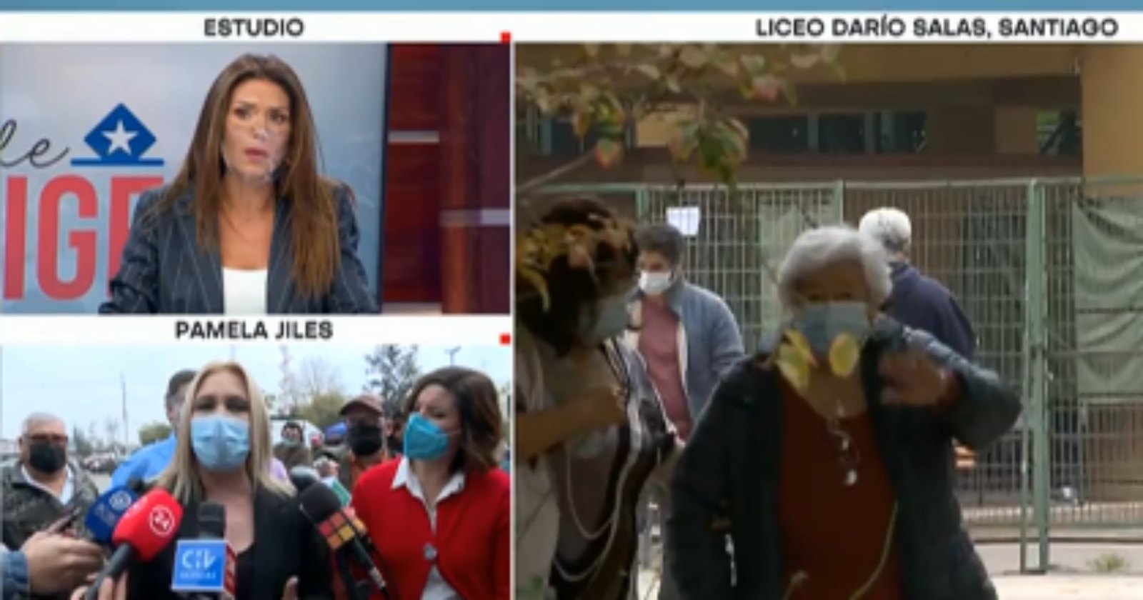 Pamela Jiles Carola Escobar