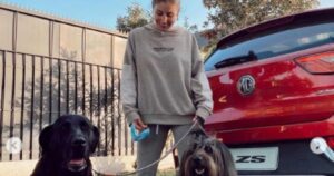 Daniela Castro lamenta la muerte de una segunda mascota y dice que seguirá adoptando perros