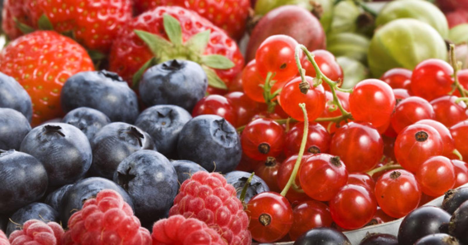 Hortifrut