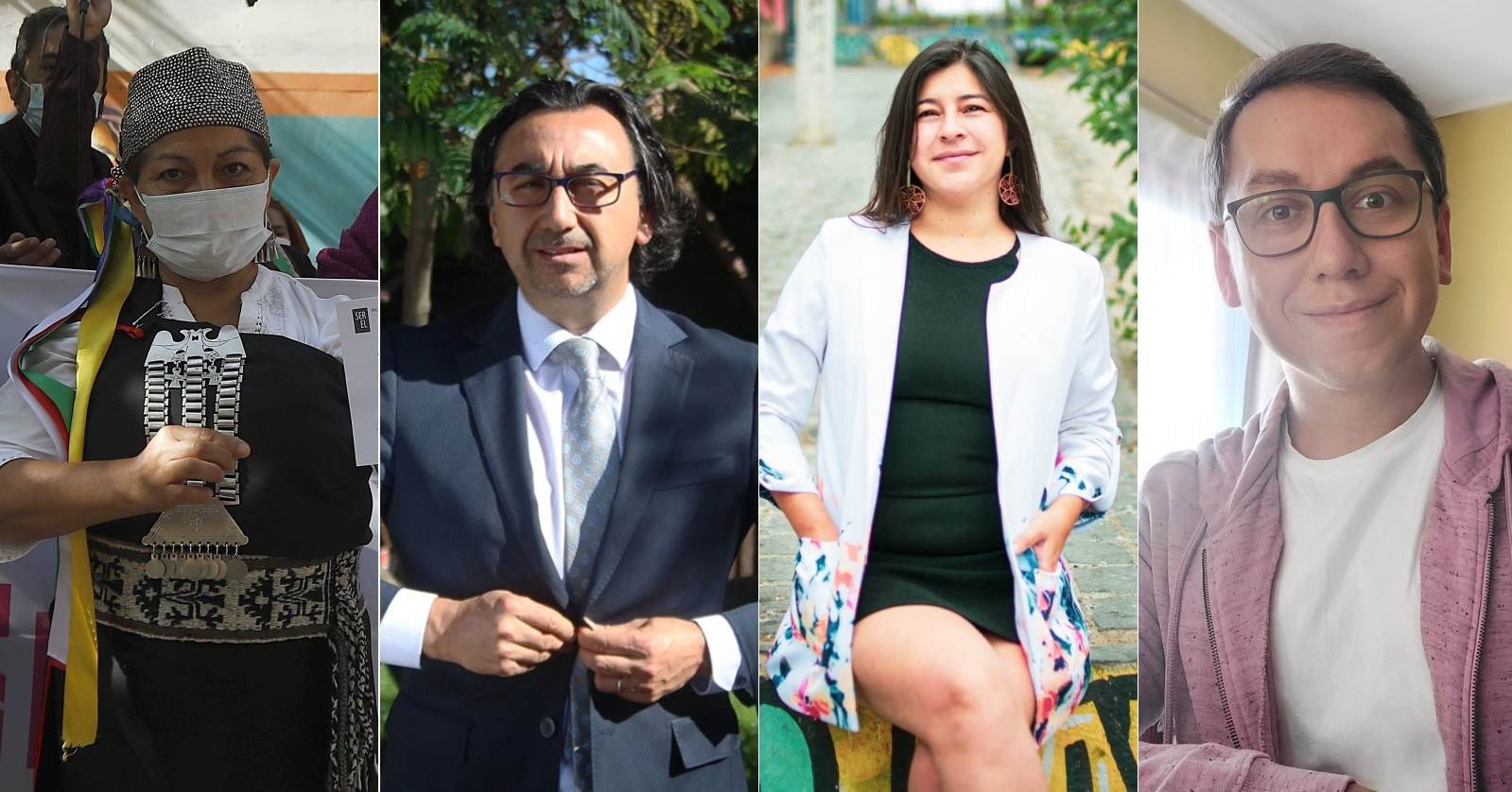 profesores constituyentes